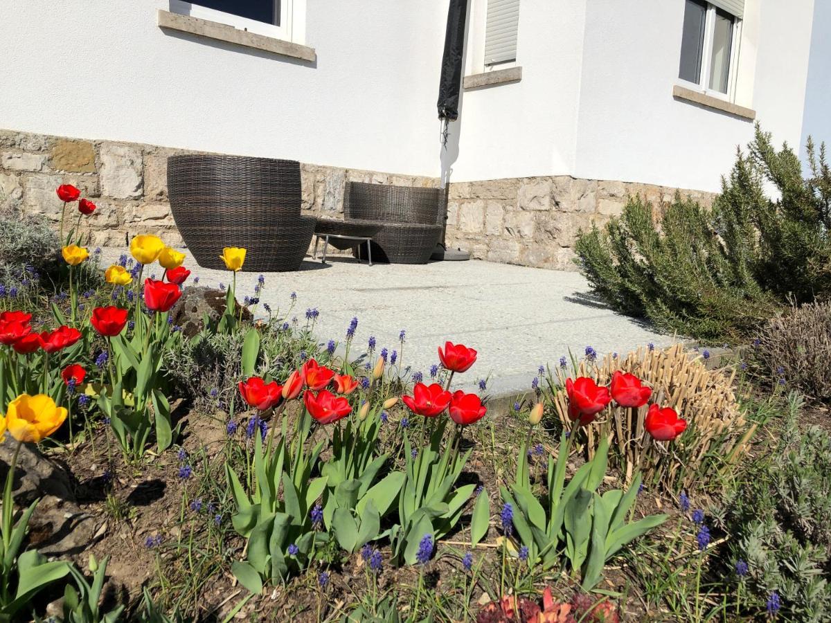 Altstadt Naehe 7 Min Fussweg Ueber Alte Maibruecke Zu Pension Mit Balkon & Garten, Ideal For Long Stay, Relocation 옥센푸르트 외부 사진